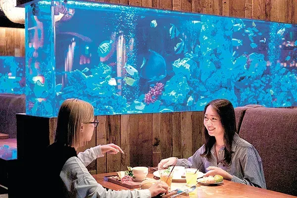 水族館のような、ゆったりした空間で、食事が満喫できるアクアリウムイタリアン心斎橋ライム
