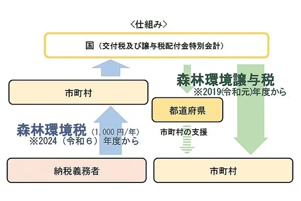 森林環境税 来年度開始