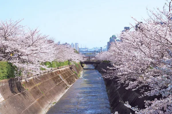 生田川（神戸市中央区)