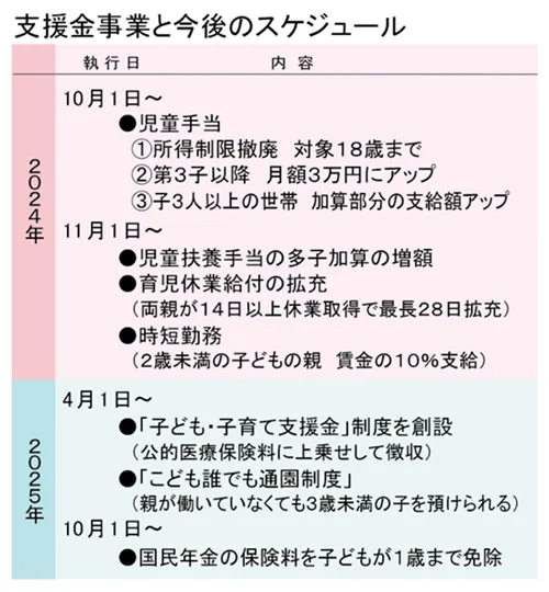 支援金事業と今後のスケジュール