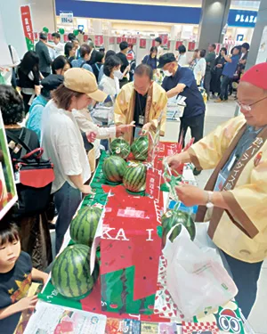 知事が「今年のスイカはイカす！」と話したスイカは、オープンから20分で売り切れた