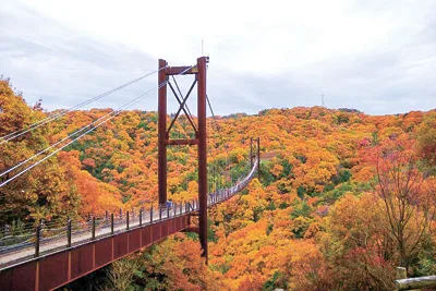 紅葉が見頃を迎えている