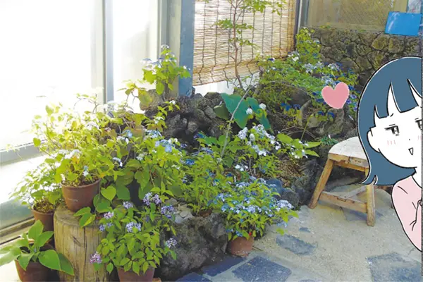 咲くやこの花館