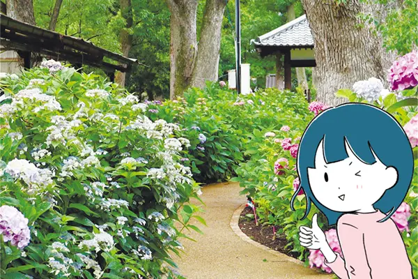 藤森神社