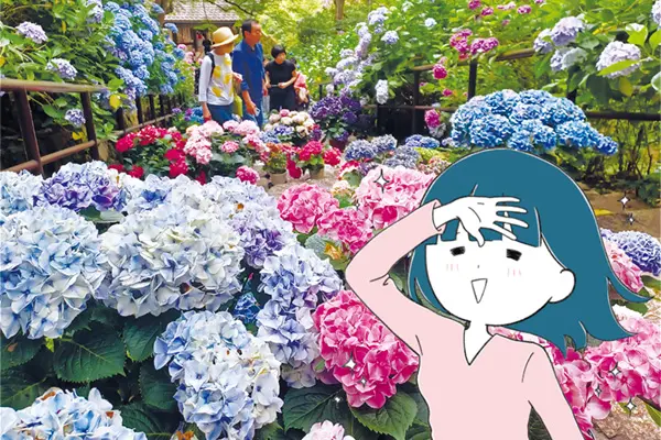 長谷寺