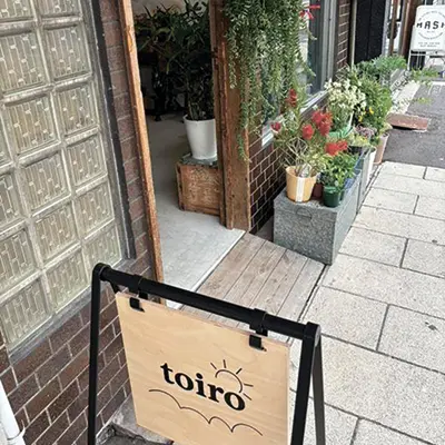 toiro
