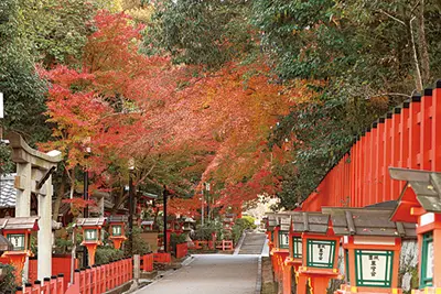 八坂神社の紅葉（八坂神社提供）