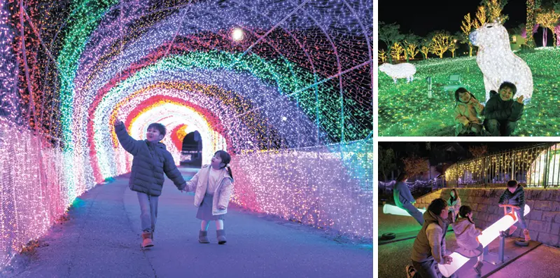 Wonder Night Hill（ワンダーナイトヒル）2025