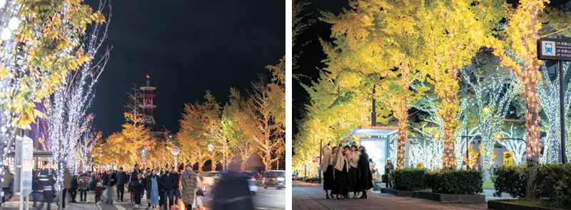 けやきライトパレード